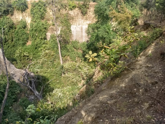 Recorre nuestro parque haciendo senderismo por los caminos marcados