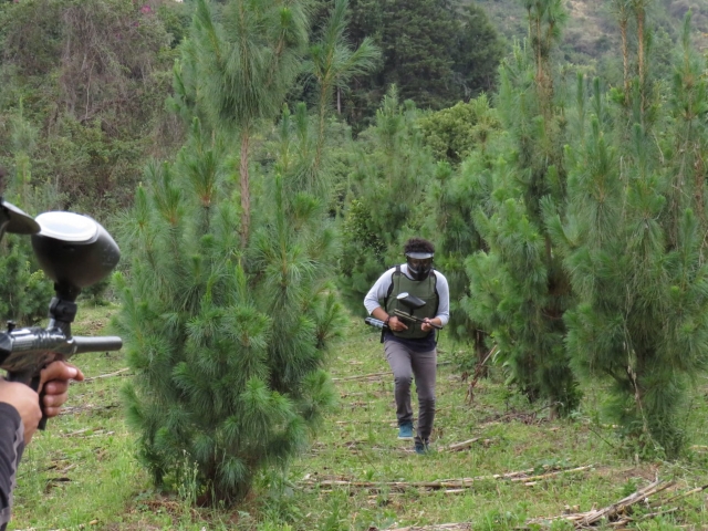 Contamos con ampo de Paintball con temática del bosque 