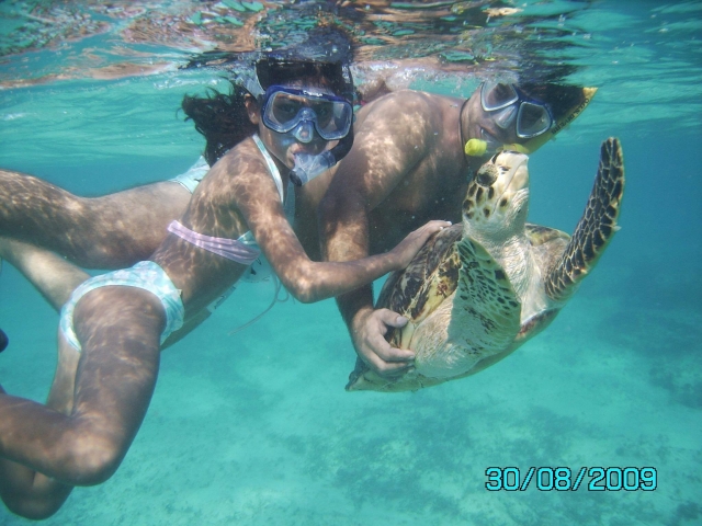Interactúa con la variedad de especies marinas en Cozumel