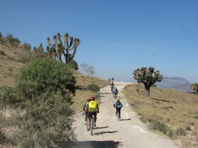 Ruta en equipo ciclismo
