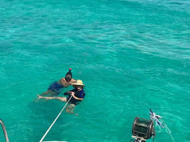 snorkel