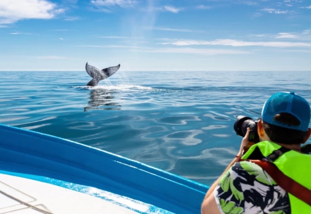 Observas el increíbte espectáculo natural