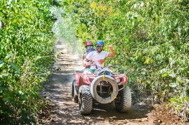 Visita guiada por la jungla