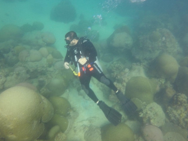 Explorando bajo del mar