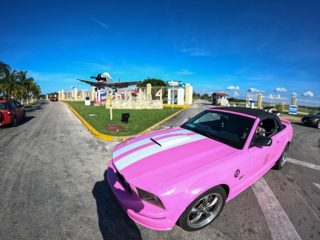 Visita guiada en mustang en la isla