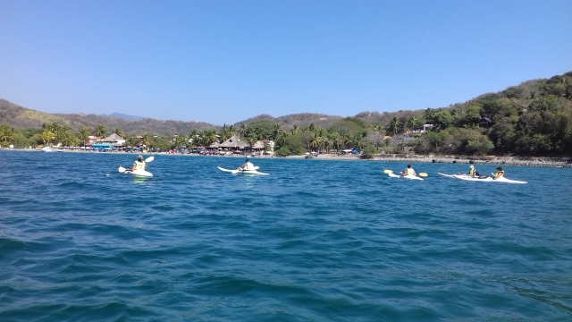 Remando en la bahía