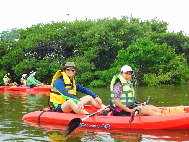 Visita guiada en kayak