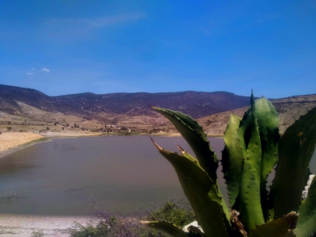 Caminando entre naturaleza