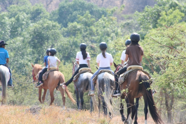 Visita guiada en caballo