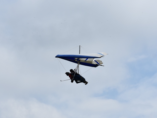 Ala delta en acción