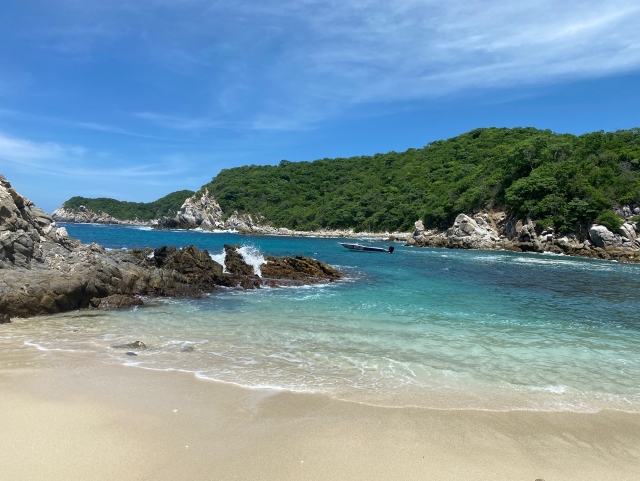 Conociendo la bahía