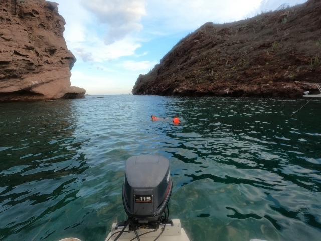 Visita guiada en barco