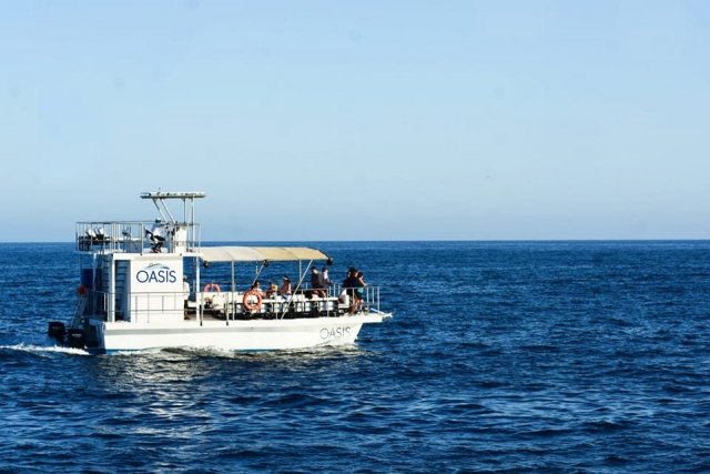 Catamaranes en mar de cortes