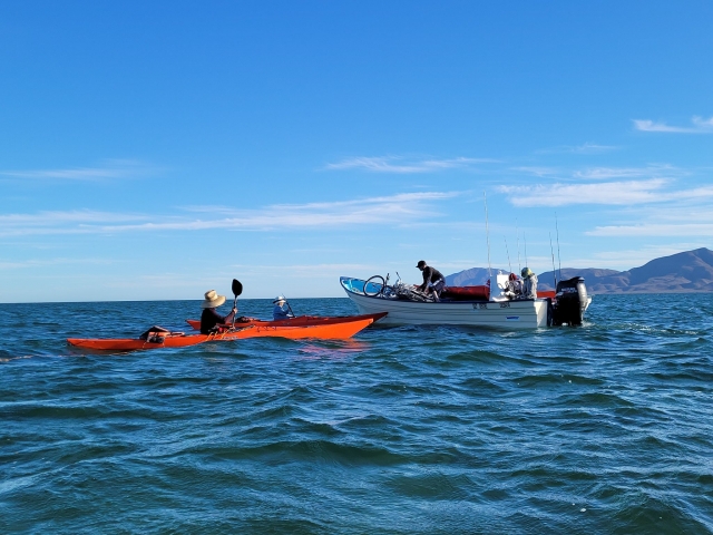 Kayaks en mar de Cortes