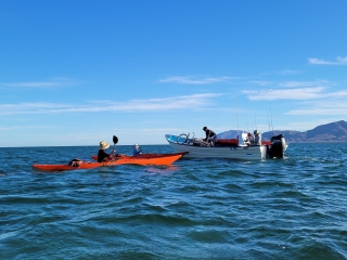 San Carlos Kayaks
