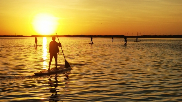 Paddte surf golden hour