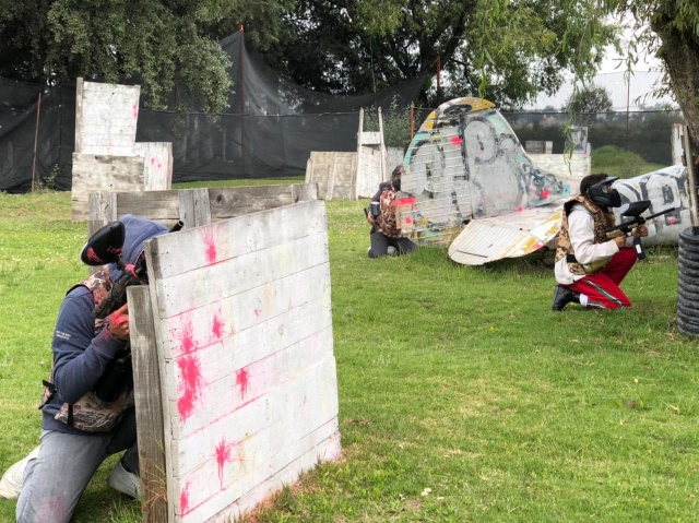 Ocultándose en el muro de madera
