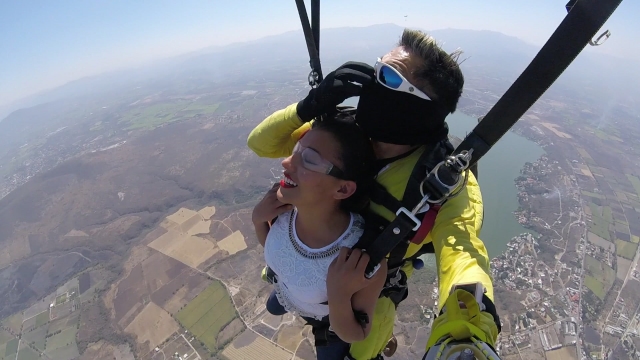 Paracaidista profesional