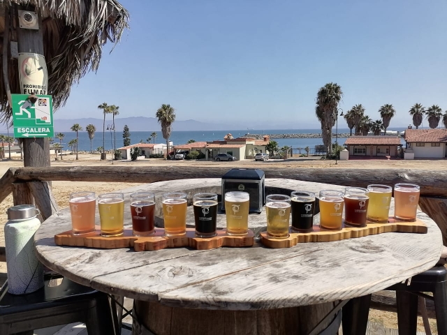 Degustación de cervezas