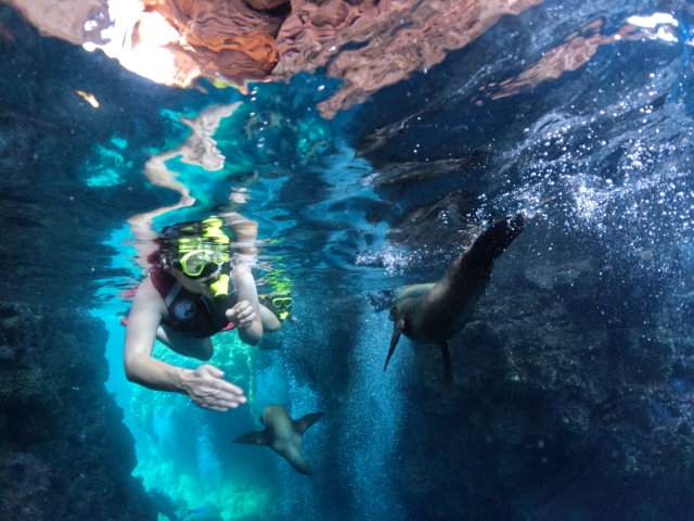 Explorando las profundidades del mar