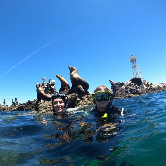 Snorkel en familia