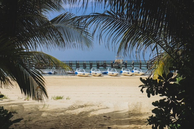 Navega en speed boats