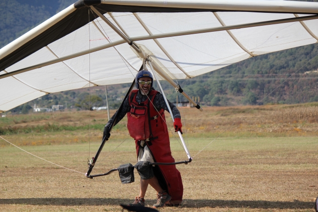 Piloto monitor ala delta