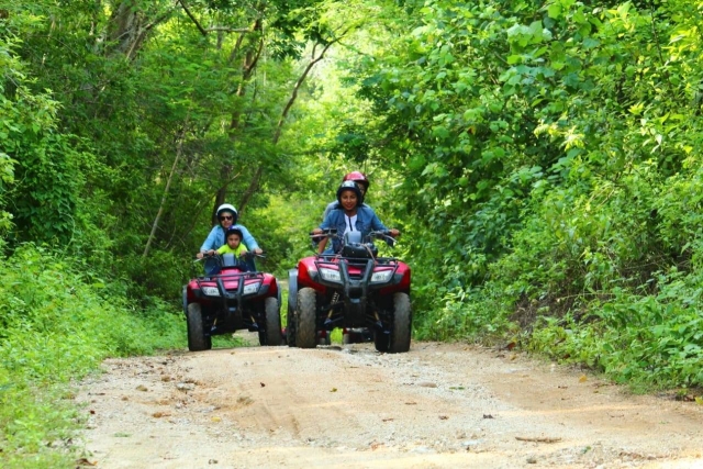 Quads en la selvas