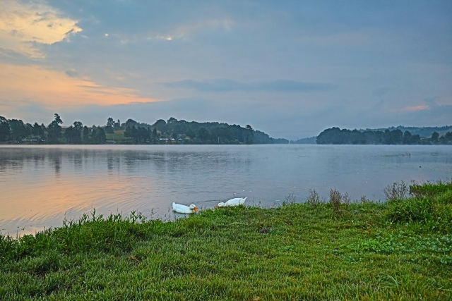 Pantano umécuaro