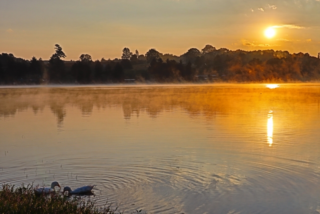 Atardecer en al pantano