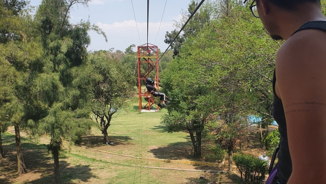 Tirolesas en el parque