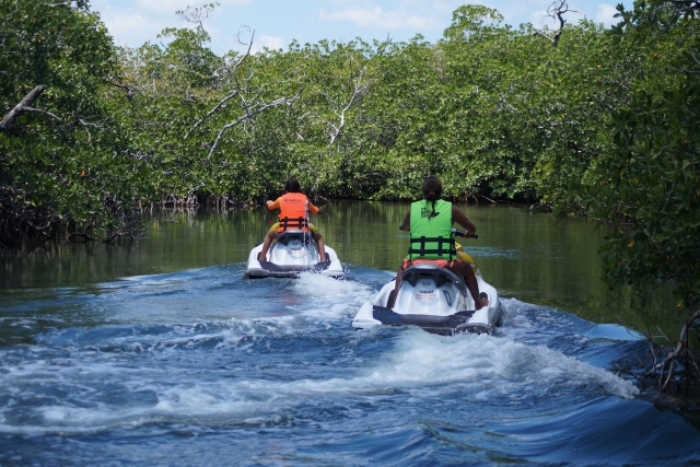 waverunners en los manglaternera