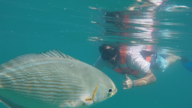 Disfrutando del snorkeling