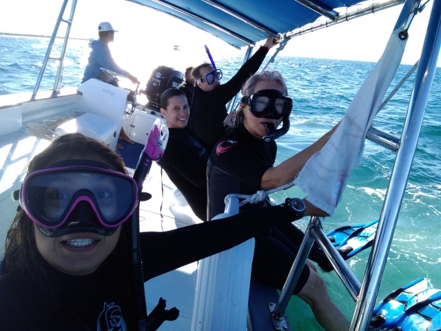 Visita guiada de snorkel