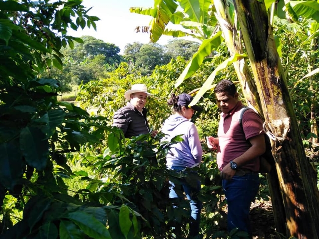 Disfrutando del paseo en la finca