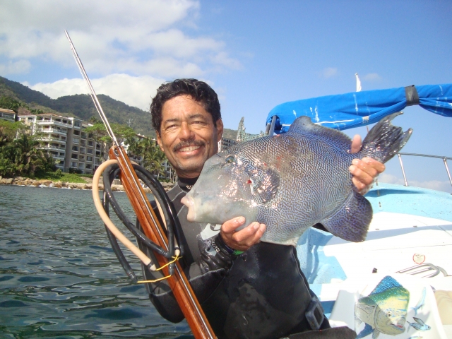 Spearfishing (Triggerfish..)