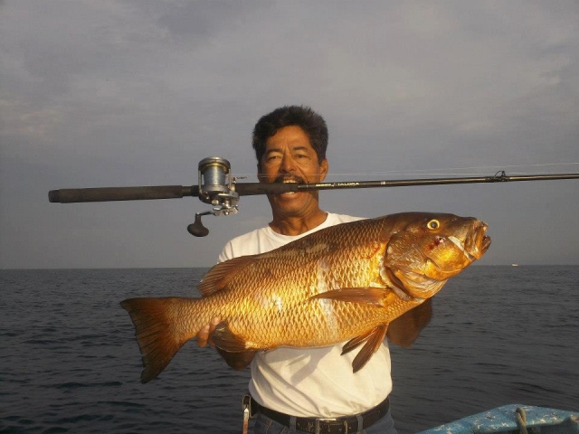 Pesca en puerto vallarta