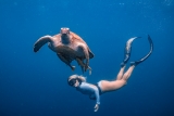 Snorkel en Bahía Sta. María y Chileno en Los Cabos