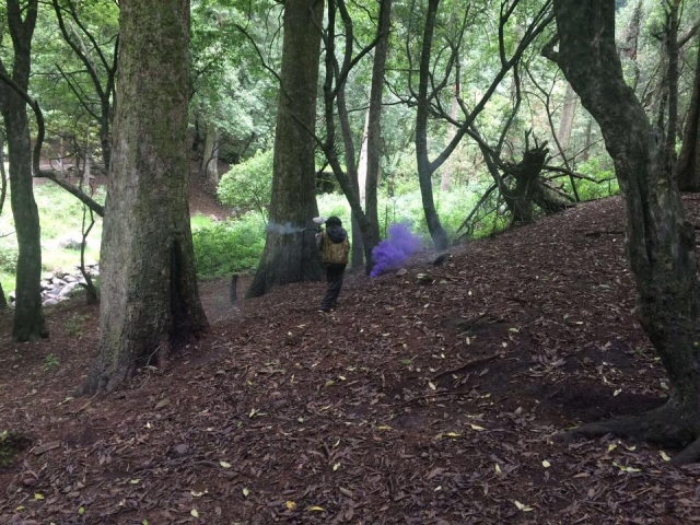 Juega paintball en un bosque 