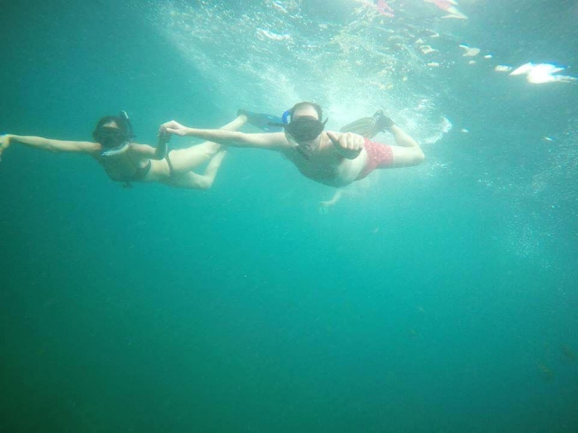 Snorkel en puerto vallarta