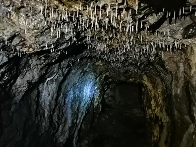 Explorando minas