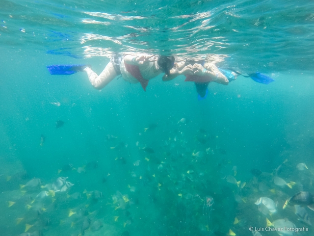 Gran experiencia bajo el agua 