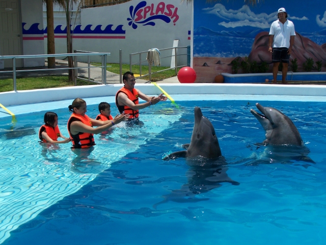 show de animaleres