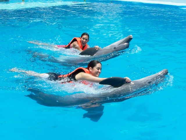 parque acuatico