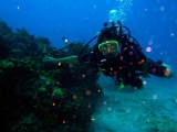 Curso de Buzo Open Water PADI en Isla Mujeres