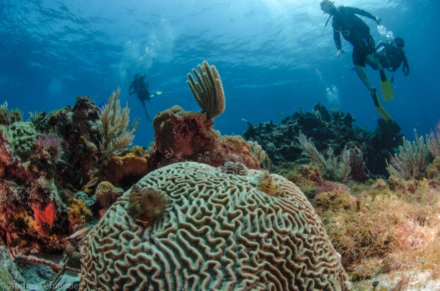 Isla-Mujeternera-Scuba-Diving-Courses-Squalo-Adventuternera-Dive-Shop-25