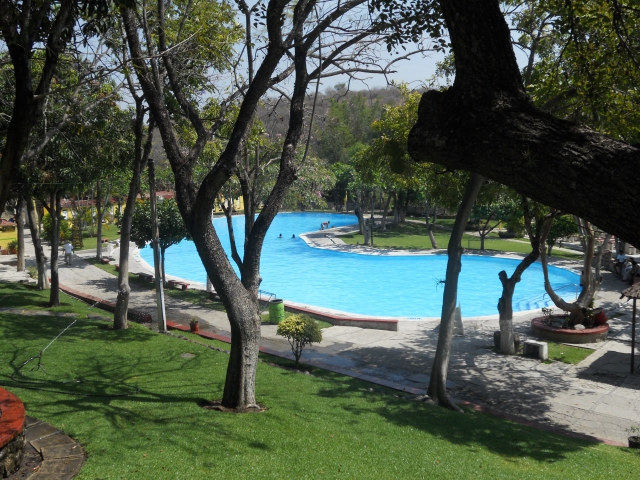 Disfruta de nuestra piscina