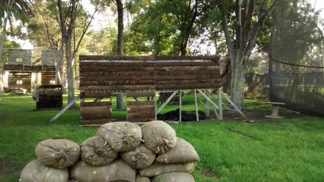 decorados del campo