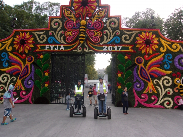 Coloternera de la ciudad