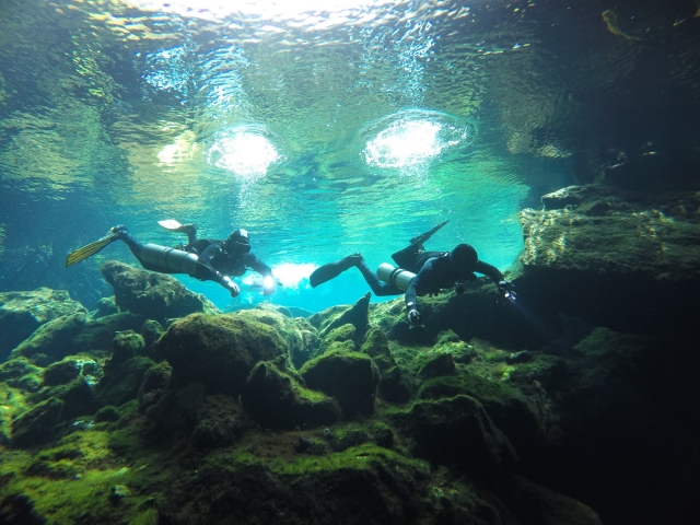Buceo en aguas cristalinas de los cenotes